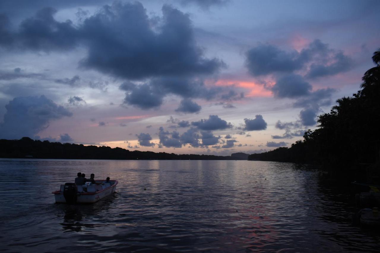 Casa Turtle Bogue Hotel Tortuguero Ngoại thất bức ảnh