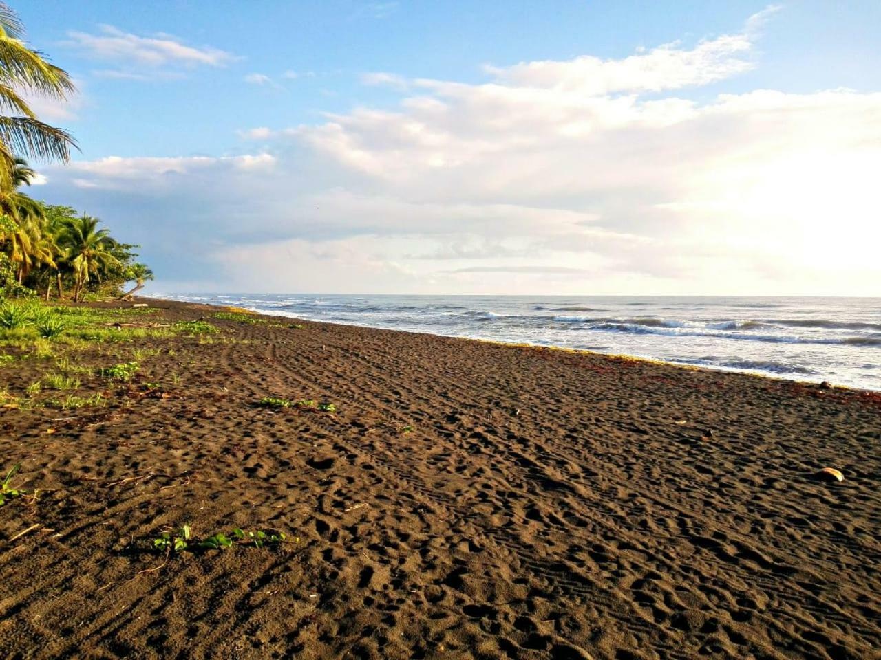 Casa Turtle Bogue Hotel Tortuguero Ngoại thất bức ảnh