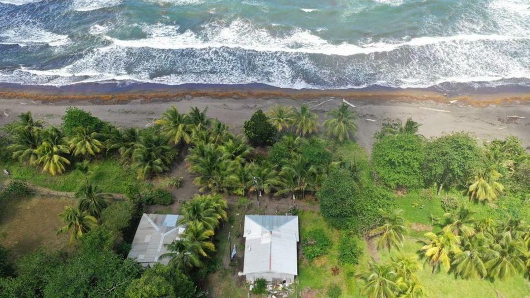 Casa Turtle Bogue Hotel Tortuguero Ngoại thất bức ảnh